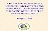 CHARACTERIZE AND ASSESS WILDLIFE-HABITAT TYPES AND STRUCTURAL CONDITIONS FOR SUB-BASINS WITHIN THE BLUE MOUNTAIN PROVINCE Project: 27003.