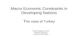 Macro Economic Constraints in Developing Nations T he case of Turkey Türkel Minibaş, Prof.Dr. Istanbul University Faculy of Economics.