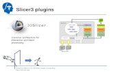 National Alliance for Medical Image Computing  Slicer3 plugins Common architecture for interactive and batch processing.