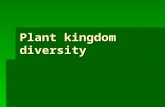 Plant kingdom diversity. Plant Groups 1.Bryophytes-Mosses (seedless, non- vascular) 2.Seedless vascular plants-Ferns 3.Gymnosperms-Evergreens 4.Angiosperms-Flowering.