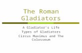 The Roman Gladiators A Gladiators Life Types of Gladiators Circus Maximus and The Colosseum.