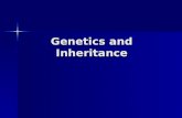 Genetics and Inheritance. Genetics: the scientific study of heredity Genetics: the scientific study of heredity People in the 1770s believed that traits.
