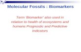 Molecular Fossils : Biomarkers Term Biomarker also used in relation to health of ecosystems and humans Prognostic and Predictive Indicators.