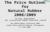 1 The Price Outlook for Natural Rubber 2008/2009 By Sang Udomjarumani CEO, International Rubber Consortium, Limited CEO, International Rubber Consortium,