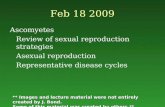 Feb 18 2009 Ascomyetes Review of sexual reproduction strategies Asexual reproduction Representative disease cycles ** Images and lecture material were.