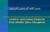 Lectures-5-6-Mycobacterium tuberculosis, M. leprae, Actinomycetes