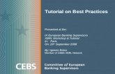 Tutorial on Best Practices Presented at the: IX European Banking Supervisors XBRL Workshop & Tutorial In: Paris On: 29 th September 2008 By: Ignacio Boixo.