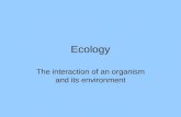Ecology The interaction of an organism and its environment.