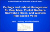 Ecology and Habitat Management for Deer Mice, Pocket Gophers, Snowshoe Hares, and Western Red-backed Voles Aaron J. Wirsing, Assistant Professor Northern.