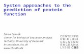 System approaches to the prediction of protein function Søren Brunak Center for Biological Sequence Analysis Technical University of Denmark brunak@cbs.dtu.dk.