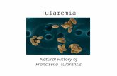 Tularemia Natural History of Francisella tularensis.