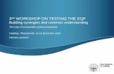 3 RD WORKSHOP ON TESTING THE EQF Building synergies and common understanding The case of sustainable professionalization Cedefop, Thessaloniki, 15-16 December.
