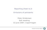 Reporting sheet no.4 Emissions of pollutants Peter Kristensen SoE meeting 12 June 2007, Copenhagen.