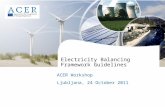 Electricity Balancing Framework Guidelines ACER Workshop Ljubljana, 24 October 2011.