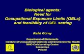 Biological agents: Need for Occupational Exposure Limits (OELs) and feasibility of OEL setting Rafal Górny Department of Biohazards Institute of Occupational.