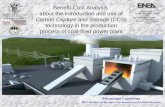 Benefit-Cost Analysis about the introduction and use of Carbon Capture and Storage (CCS) technology in the production process of coal-fired power plant.