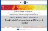 Parallel Workshop Session: Workshop 2.3 Territorial Cooperation at Different Scales ESPON Internal Seminar 2012 Territorial Development Opportunities in.
