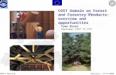 NFRIs meetingBrussels, 12/11/2004 COST Domain on Forest and Forestry Products: overview and opportunities Yves Birot Chairman COST TC FFP.