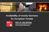 Availability of woody biomass for European forests Prof. Dr. Udo Mantau Zentrum Holzwirtschaft Universität Hamburg.