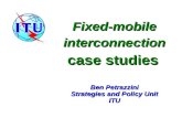 Fixed-mobile interconnection case studies Ben Petrazzini Strategies and Policy Unit ITU.