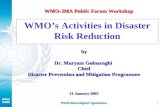 World Meteorological Organization 1 WMOs Activities in Disaster Risk Reduction by Dr. Maryam Golnaraghi Chief Disaster Prevention and Mitigation Programme.