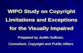WIPO Study on Copyright Limitations and Exceptions for the Visually Impaired Prepared by Judith Sullivan, Consultant, Copyright and Public Affairs.