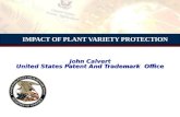 IMPACT OF PLANT VARIETY PROTECTION John Calvert United States Patent And Trademark Office.