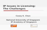 IP Issues in Licensing: The Challenges Casey K. Chan National University of Singapore IP Academy of Singapore.