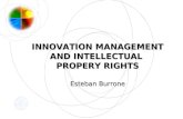 INNOVATION MANAGEMENT AND INTELLECTUAL PROPERY RIGHTS Esteban Burrone Esteban Burrone