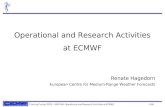 Training Course 2009 – NWP-NM: Operational and Research Activities at ECMWF 1/46 Operational and Research Activities at ECMWF Renate Hagedorn European.
