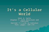 Its a Cellular World Unit 2: Cells Chapter 7: Cell Structure and Function Section 7-1 Life is Cellular Text- pages -169-173.