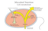 Microbial Nutrition Cell metabolism. Nutritional Categories of Microorganisms Microorganisms are often grouped according to the sources of energy they.