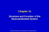 Structure and Function of the Musculoskeletal System Chapter 41 Mosby items and derived items © 2010, 2006 by Mosby, Inc., an affiliate of Elsevier Inc.