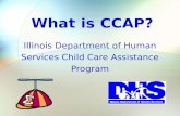 What is CCAP? Illinois Department of Human Services Child Care Assistance Program.