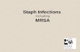 Staph Infections including MRSA. What is a Staph infection?