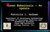 Human Babesiosis – An Update Patricia J. Holman Department of Veterinary Pathobiology College of Veterinary Medicine and Biomedical Sciences Texas A&M.