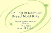 RIP~ing in Kaimuki Bread Mold RIPs Washington Middle School 7 th Grade Anne McKnight.