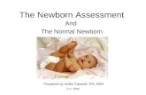 K.C. 2003 The Newborn Assessment And The Normal Newborn Prepared by Kellie Caswell, RN, BSN.