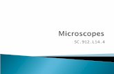 SC.912.L14.4. How do microscopes work? Light Microscopes Produce magnified images by focusing visible light. Staining can be used to show structures.