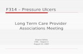 Long Term Care Provider Associations Meeting Sharon White CMS – Region V August 22, 2007 F314 – Pressure Ulcers.