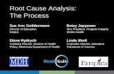 Root Cause Analysis: The Process Diane Rydrych Assistant Director, Division of Health Policy, Minnesota Department of Health Betsy Jeppesen Vice President,
