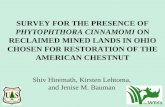 SURVEY FOR THE PRESENCE OF PHYTOPHTHORA CINNAMOMI ON RECLAIMED MINED LANDS IN OHIO CHOSEN FOR RESTORATION OF THE AMERICAN CHESTNUT Shiv Hiremath, Kirsten.