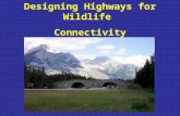 Designing Highways for Wildlife Connectivity. Course Introductions.