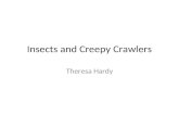 Insects and Creepy Crawlers Theresa Hardy. Entomologist An entomologist is a person that studies insects. They know a lot about metamorphosis. Do you.