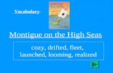 Vocabulary : Montigue on the High Seas cozy, drifted, fleet, launched, looming, realized.