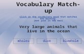 Vocabulary Match-up Click on the vocabulary word that matches the meaning. (not just in the box) Very large animals that live in the ocean whales diveblowhole.