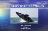 The Story of Three Whales Unit 2 Kindness Story 6 By Mrs. Nailon.