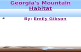 Georgia's Mountain Habitat By: Emily Gibson. Georgia's Mountain Habitat Georgia has two mountain regions: The Blue Ridge region and the Appalachian Plateau.