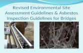 Revised Environmental Site Assessment Guidelines & Asbestos Inspection Guidelines for Bridges.