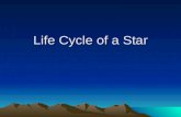 Life Cycle of a Star. Stage 1 Protostars Protostars Huge clouds of gas (hydrogen) in which stars are made. Many thousands of times bigger than our.
